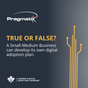 TRUE or FALSE? A Small-Medium Business can develop its own digital adoption plan